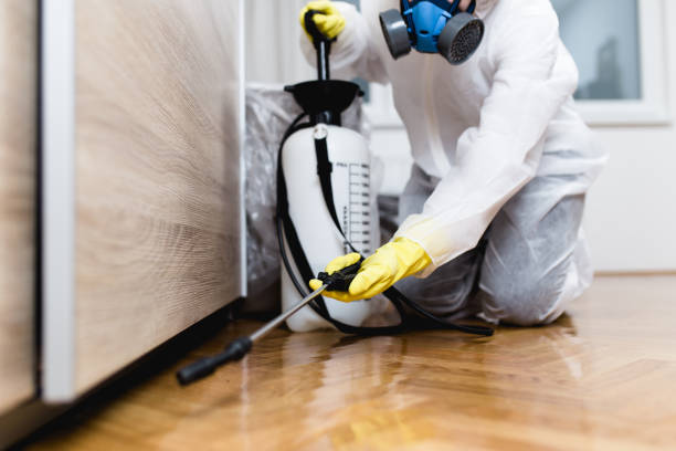 Best Pest Control Near Me  in Fairbury, NE