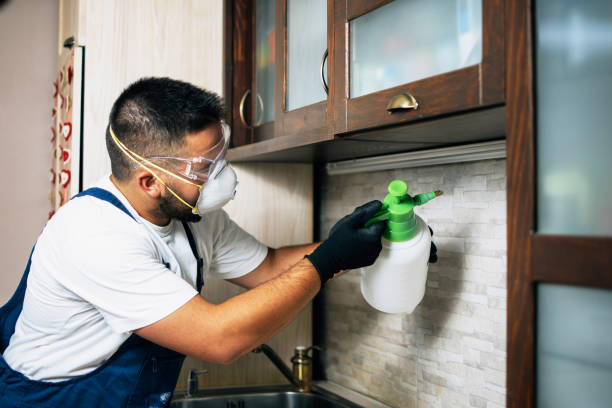 Best Pest Prevention Services  in Fairbury, NE