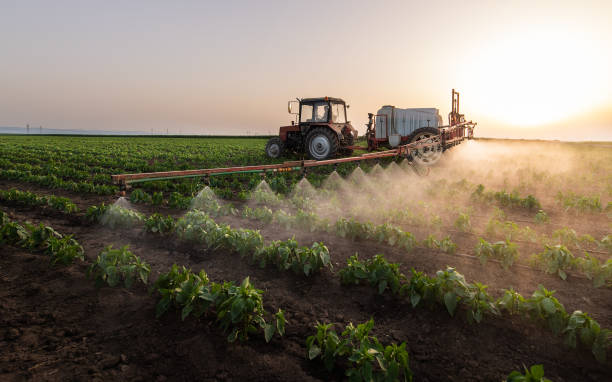 Best Pest Inspection Near Me  in Fairbury, NE