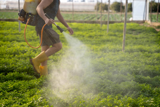 Best Residential Pest Control  in Fairbury, NE