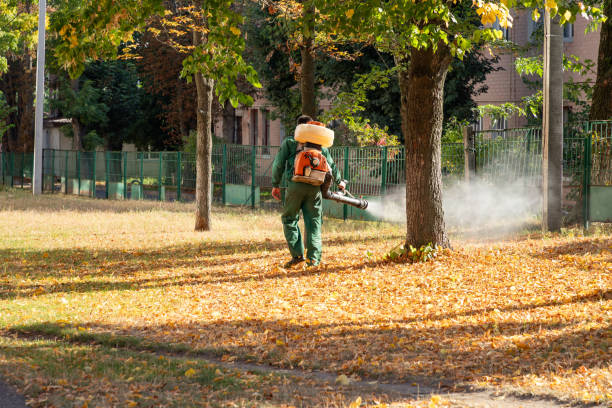 Professional Pest Control in Fairbury, NE