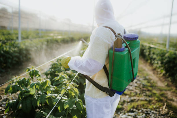 Best Affordable Pest Control Services  in Fairbury, NE